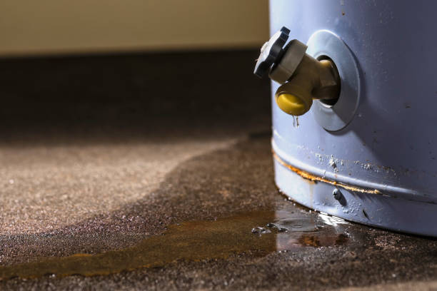 Best Carpet water damage restoration  in Mahomet, IL