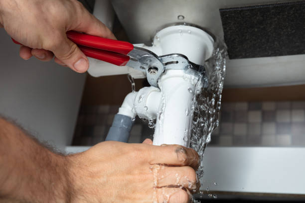 Best Fire Damage Restoration  in Mahomet, IL