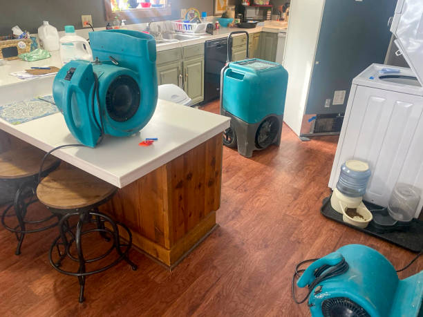 Best Sewage cleanup and water damage restoration  in Mahomet, IL