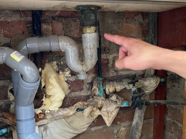 Best Water damage restoration near me  in Mahomet, IL