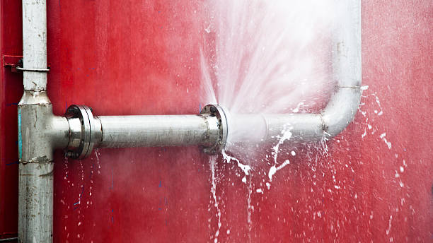 Best Water damage restoration process  in Mahomet, IL